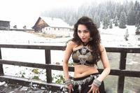 Tamanna Hot Exposing Stills